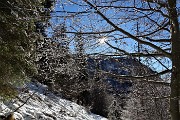 32 Il sole comincia a sciogliere la neve sulle piante